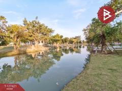 ขายที่ดิน เนื้อที่ 2 งาน 41 ตร.วา บ้านยาง นครปฐม-202511261229491764134989538.jpg