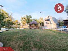 ขายที่ดิน เนื้อที่ 2 งาน 41 ตร.วา บ้านยาง นครปฐม-202511261229531764134993102.jpg