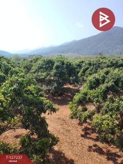 ขายที่ดิน เนื้อที่ 9 ไร่ 2 งาน 44 ตร.วา พร้าว เชียงใหม่