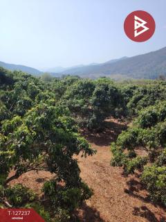 ขายที่ดิน เนื้อที่ 9 ไร่ 2 งาน 44 ตร.วา พร้าว เชียงใหม่-202511261232351764135155954.jpg