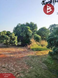 ขายที่ดิน เนื้อที่ 9 ไร่ 2 งาน 44 ตร.วา พร้าว เชียงใหม่-202511261232361764135156528.jpg