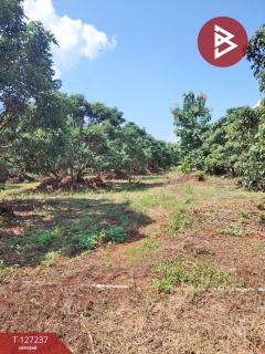 ขายที่ดิน เนื้อที่ 9 ไร่ 2 งาน 44 ตร.วา พร้าว เชียงใหม่-202511261232371764135157146.jpg