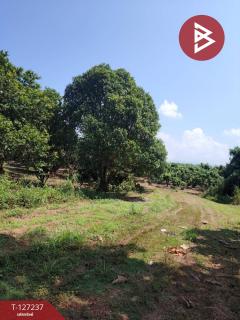 ขายที่ดิน เนื้อที่ 9 ไร่ 2 งาน 44 ตร.วา พร้าว เชียงใหม่-202511261232381764135158237.jpg