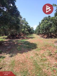 ขายที่ดิน เนื้อที่ 9 ไร่ 2 งาน 44 ตร.วา พร้าว เชียงใหม่-202511261232391764135159375.jpg