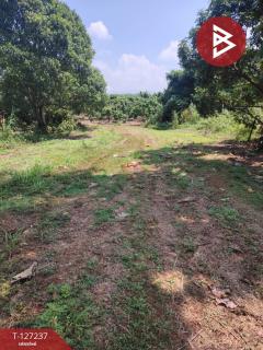 ขายที่ดิน เนื้อที่ 9 ไร่ 2 งาน 44 ตร.วา พร้าว เชียงใหม่-202511261232391764135159935.jpg