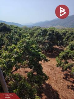 ขายที่ดิน เนื้อที่ 9 ไร่ 2 งาน 44 ตร.วา พร้าว เชียงใหม่-202511261232401764135160484.jpg