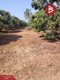 ขายที่ดิน เนื้อที่ 9 ไร่ 2 งาน 44 ตร.วา พร้าว เชียงใหม่-202511261232411764135161344.jpg