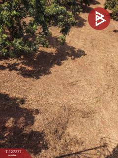 ขายที่ดิน เนื้อที่ 9 ไร่ 2 งาน 44 ตร.วา พร้าว เชียงใหม่-202511261232421764135162576.jpg