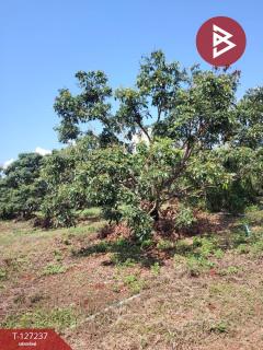 ขายที่ดิน เนื้อที่ 9 ไร่ 2 งาน 44 ตร.วา พร้าว เชียงใหม่-202511261232431764135163123.jpg