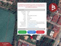 ขายที่ดิน ในหมู่บ้านศิลาพร เฟส2 เนื้อที่ 1 งาน 0.5 ตร.วา เกาะขวาง จันทบุรี-202511261234391764135279975.jpg