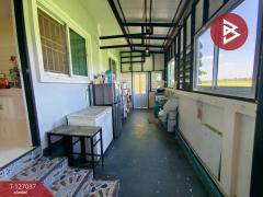 ขายบ้านเดี่ยวชั้นเดียว เนื้อที่ 1 งาน ท่าไข่ ฉะเชิงเทรา-202511261301241764136884537.jpg