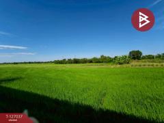 ขายบ้านเดี่ยวชั้นเดียว เนื้อที่ 1 งาน ท่าไข่ ฉะเชิงเทรา-202511261301261764136886159.jpg