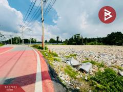 ขาย/เช่าที่ดิน เนื้อที่ 1 ไร่ 2 งาน 4 ตร.วา พระสมุทรเจดีย์ สมุทรปราการ-202511261403461764140626760.jpg