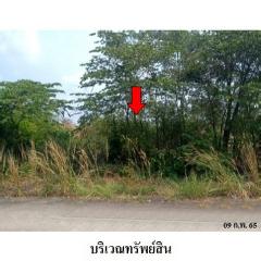 ขายที่ดินว่างเปล่า โครงการ บางไทรเวลเนสโฮม ถนน เสนา-สามโคก-ปทุมธานี ตำบล แคตก อำเภอ บางไทร จังหวัด พระนครศรีอยุธยา