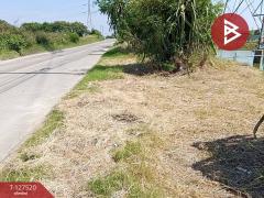 ขายที่ดิน เนื้อที่ 4 ไร่ 72 ตร.วา บางปะกง ฉะเชิงเทรา-202511261425101764141910217.jpg