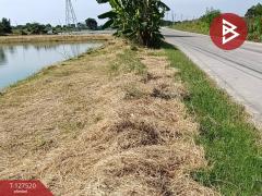 ขายที่ดิน เนื้อที่ 4 ไร่ 72 ตร.วา บางปะกง ฉะเชิงเทรา-202511261425101764141910818.jpg