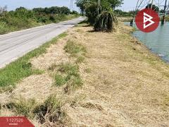 ขายที่ดิน เนื้อที่ 4 ไร่ 72 ตร.วา บางปะกง ฉะเชิงเทรา-202511261425111764141911934.jpg