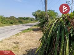 ขายที่ดิน เนื้อที่ 4 ไร่ 72 ตร.วา บางปะกง ฉะเชิงเทรา-202511261425131764141913631.jpg