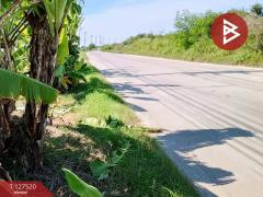 ขายที่ดิน เนื้อที่ 4 ไร่ 72 ตร.วา บางปะกง ฉะเชิงเทรา-202511261425141764141914182.jpg