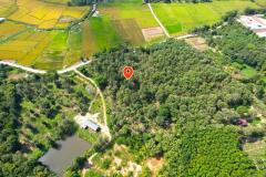 ขายที่ดินสวนสักแปลงสวย ใกล้รีสอร์ต โรงแรม ร้านอาหาร คาเฟ่ ใกล้เมืองน่าน วิวภูเขาและทุ่งนาเขียวขจี