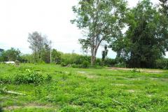 ขายที่ดินเปล่า  ใกล้เมืองน่าน โซนเมืองจัง ใกล้สนามบินน่าน ตัวเมืองน่าน