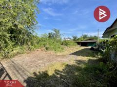 ขายที่ดินถมแล้ว พร้อมสิ่งปลูกสร้าง เนื้อที่ 1 ไร่ 2 งาน 62 ตารางวา ลาดใหญ่ สมุทรสงคราม-202511261451341764143494147.jpg