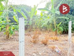 ขายที่ดิน เนื้อที่ 2 ไร่ 86 ตร.วา ลาดกระบัง กรุงเทพมหานคร-202511261643211764150201457.jpg