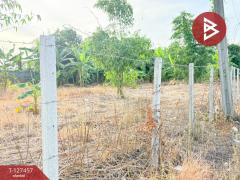 ขายที่ดิน เนื้อที่ 2 ไร่ 86 ตร.วา ลาดกระบัง กรุงเทพมหานคร-202511261643221764150202042.jpg