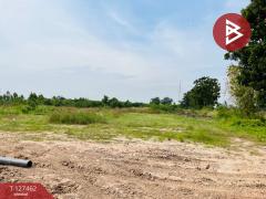 ขายที่ดิน เนื้อที่ 4 ไร่ 1 งาน 27 ตารางวา อ่างทอง ราชบุรี-202511261656131764150973987.jpg