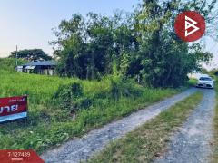 ขายที่ดิน เนื้อที่ 72.4 ตร.วา หางดง เชียงใหม่-202511261736441764153404225.jpg