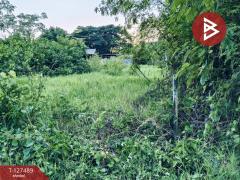 ขายที่ดิน เนื้อที่ 72.4 ตร.วา หางดง เชียงใหม่-202511261736441764153404785.jpg