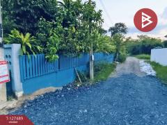 ขายที่ดิน เนื้อที่ 72.4 ตร.วา หางดง เชียงใหม่-202511261736451764153405896.jpg