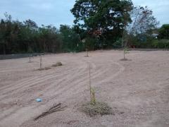 ที่ดินเปล่าให้เช่า 20 ไร่ – แบ่งเช่าได้ ทำเลดีติดถนนใหญ่