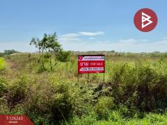 ขายที่ดินแปลงสวย-เนื้อที่-3-ไร่-บ้าน