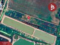 ขายที่ดินแปลงสวย เนื้อที่ 3 ไร่ บ้านโพธิ์ ฉะเชิงเทรา-202511271020311764213631393.jpg