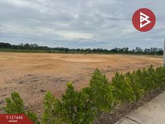 ขายที่ดินแบ่งล็อค เนื้อที่ 4 ไร่ 36 ตารางวา เกาะขวาง จันทบุรี-202511271205301764219930242.jpg