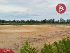 ขายที่ดินแบ่งล็อค เนื้อที่ 4 ไร่ 36 ตารางวา เกาะขวาง จันทบุรี-202511271205301764219930799.jpg