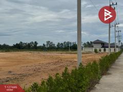 ขายที่ดินแบ่งล็อค เนื้อที่ 4 ไร่ 36 ตารางวา เกาะขวาง จันทบุรี-202511271205311764219931352.jpg