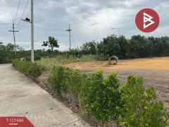 ขายที่ดินแบ่งล็อค เนื้อที่ 4 ไร่ 36 ตารางวา เกาะขวาง จันทบุรี-202511271205311764219931902.jpg