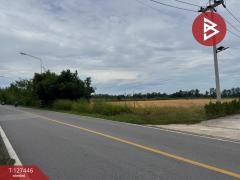 ขายที่ดินแบ่งล็อค เนื้อที่ 4 ไร่ 36 ตารางวา เกาะขวาง จันทบุรี-202511271205331764219933115.jpg