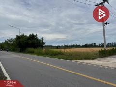 ขายที่ดินแบ่งล็อค เนื้อที่ 4 ไร่ 36 ตารางวา เกาะขวาง จันทบุรี-202511271205331764219933706.jpg