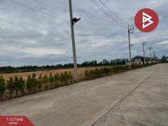 ขายที่ดินแบ่งล็อค เนื้อที่ 4 ไร่ 36 ตารางวา เกาะขวาง จันทบุรี-202511271205341764219934257.jpg