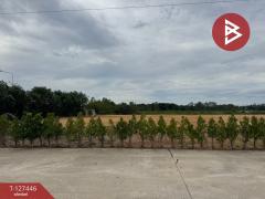 ขายที่ดินแบ่งล็อค เนื้อที่ 4 ไร่ 36 ตารางวา เกาะขวาง จันทบุรี-202511271205341764219934801.jpg