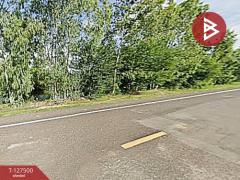 ขายที่ดิน เนื้อที่ 25 ไร่ 1 งาน 62 ตร.วา พิมาย นครราชสีมา-202511271237131764221833743.jpg