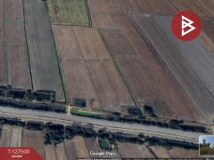 ขายที่ดิน เนื้อที่ 25 ไร่ 1 งาน 62 ตร.วา พิมาย นครราชสีมา-202511271237151764221835277.jpg