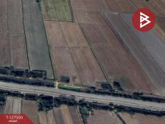 ขายที่ดิน เนื้อที่ 25 ไร่ 1 งาน 62 ตร.วา พิมาย นครราชสีมา-202511271237151764221835852.jpg