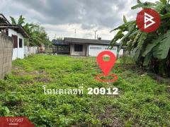 ขายที่ดิน เนื้อที่ 2 งาน 47 ตร.วา สันป่าตอง เชียงใหม่-202511271249121764222552308.jpg