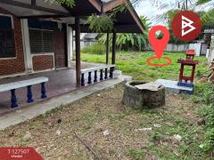 ขายที่ดิน เนื้อที่ 2 งาน 47 ตร.วา สันป่าตอง เชียงใหม่-202511271249121764222552867.jpg