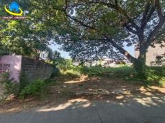 ขายที่ดิน 99 ตารางวา ซอยนาคนิวาส 37 แยก 2 ลาดพร้าว