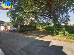 ขายที่ดิน 99 ตารางวา ซอยนาคนิวาส 37 แยก 2 ลาดพร้าว-202511271308211764223701780.jpg